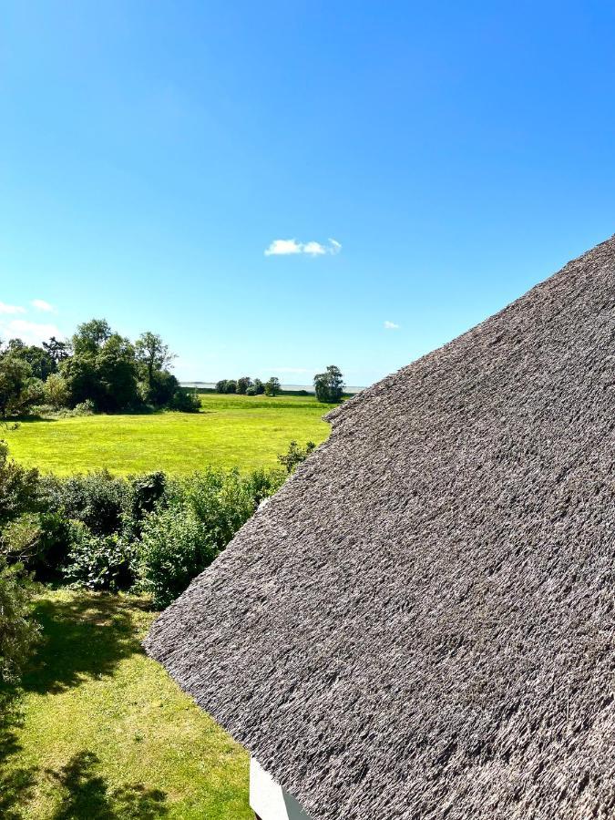 Zur Alten Boddenfischerei Ferienwohnung Heidezauber Neuendorf Heide Exterior foto